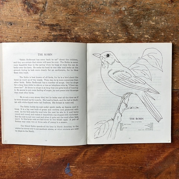 Birds To Know Vintage 60’s Colouring And Lesson Book - Picture 4 of 14